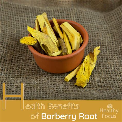 burberry root